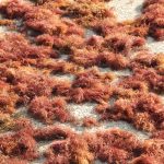 shutterstock_1408323317